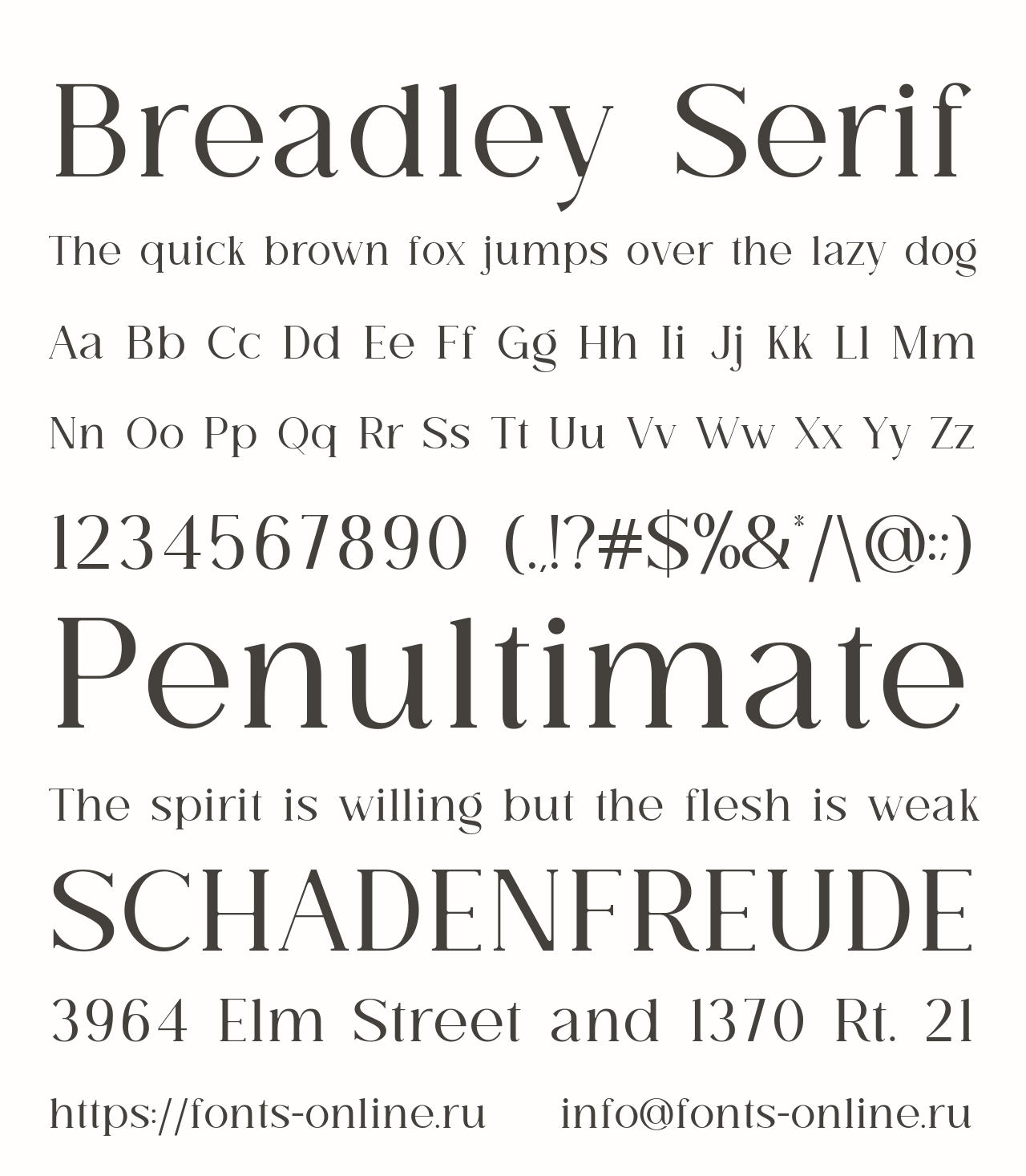 Breadley Serif Free Font Download